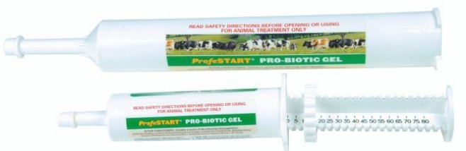 Profestart Probiotic Boost 80ml